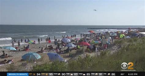 Shark Sighting Forces Beachgoers Out Of Water At Rockaway Beach Cbs