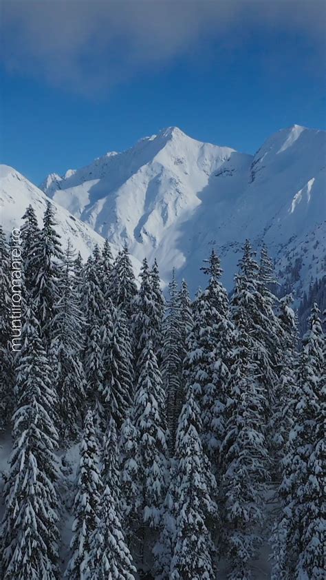 Cum Arată Iarna în Munții României Câte O Secvență Din Fiecare Tură