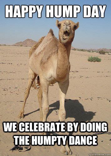 Happy Hump Day Quotes Quote Wednesday Hump Day Hump Day Camel Wednesday