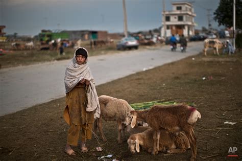 Pakistan Eid Al Adha Photographer Muhammed Muheisen Ap Images Blog