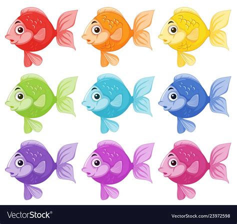 Set Of Colorful Fish Illustration Download A Free Preview Or High