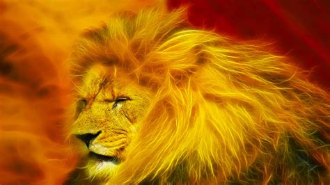 Free Download Lion Hd Wallpapers Lion Hd Pictures Download Hd