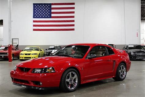 1999 Ford Mustang Gr Auto Gallery