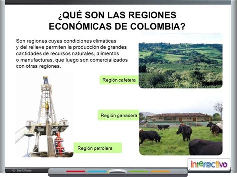 9 Regiones Económicas En Colombia Sectores De La Economía Definición