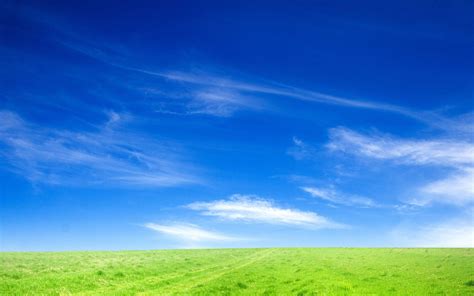 Sky And Grass Wallpapers Top Free Sky And Grass Backgrounds
