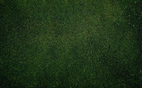 If you're in search of the best plain background wallpaper, you've come to the right place. Free Desktop Plain Wallpapers | PixelsTalk.Net