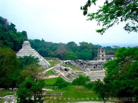 Het Prachtige Palenque In De Jungle Van Mexico Traveljunks