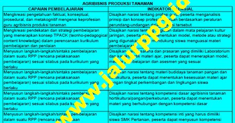 Softex indonesia uses 3 email formats: KISI-KISI UP UKM PPG AGRIBISNIS PRODUKSI TANAMAN - JALURPPG.ID