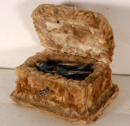 Check out our pet mementos selection for the very best in unique or custom, handmade pieces from our gifts for the couple shops. Victorian bird casket coffin. I wished I had one for my ...