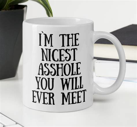i m the nicest asshole you will ever meet mug funny etsy