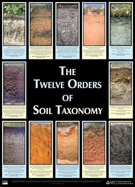 Twelve Orders Of Soil Taxonomy Poster Soil Agriculture Education
