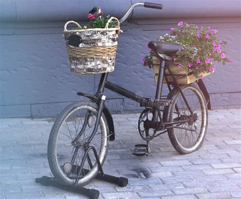 Vintage Bicycle With Basket Full Of Flowers Standing In The Street
