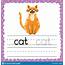 Learning To Write Words Flashcard Three Letters Word  Cat Tracing