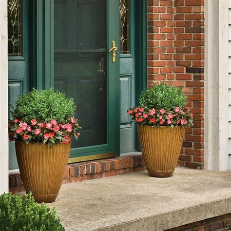 Best Plants For Pots Outside Front Door