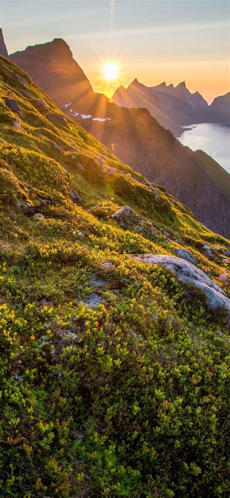 Check spelling or type a new query. mountain range | Sunrise wallpaper, Iphone backgrounds ...