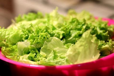 Ensure there is no leftover food in your tzatziki. Can You Freeze Lettuce? (Updated March 2021)