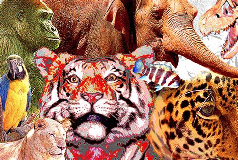 Animal Collage Digital Art Photograph By A Gurmankin
