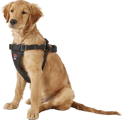 Easy Rider Adjustable Dog Car Harness Medium