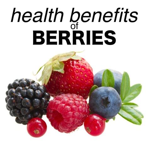 The Surprising Health Benefits Of Berries Infographic Fitneass