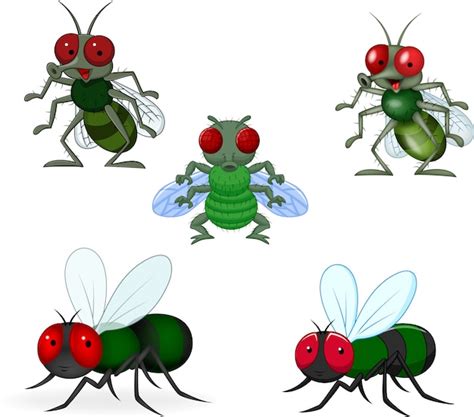 Conjunto de colección de moscas verdes de dibujos animados Vector Premium