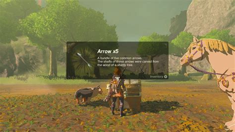 These are important because completing them gives you spirit orbs that you can exchange for additional hearth containers or bonus stamina (four spirit orbs for one health or stamina upgrade), and after completing all 120 shrines you'll get green tunic of the wild. Zelda: Breath of the Wild (Switch): News channel open, items distribution now live - Perfectly ...