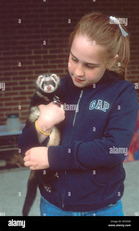 Young Girl Holding A Pet Ferret Stock Photo Alamy