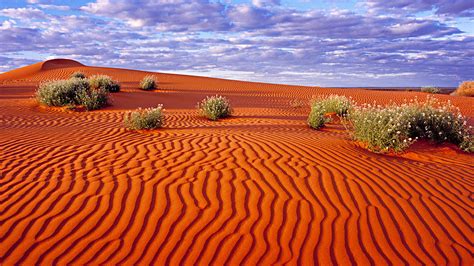 Sand Dunes In The Simpson Desert Australia Windows 10 Spotlight Images