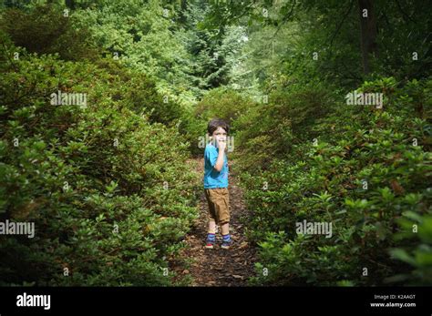 Little Boy Lost In The Woods Stock Photo Alamy