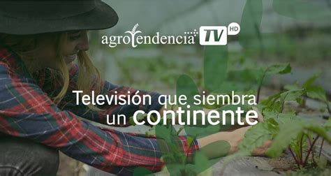 Agrotendencia Tv Con Apuesta Fuerte Regional Prensario Zone