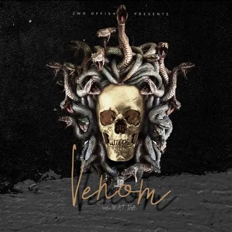 Venomthe Beat Tape By 2wo Offishall Play On Anghami
