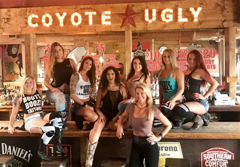 OurCoyotesTampa Coyote Ugly Saloon