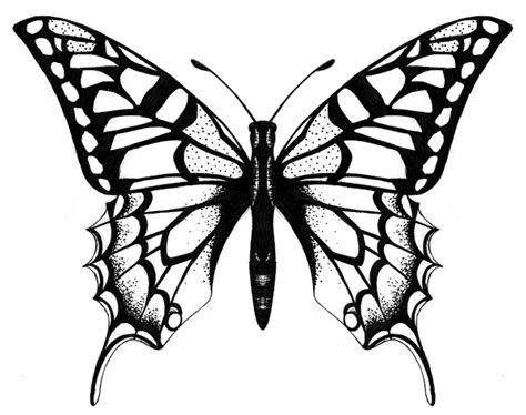 Cool Butterfly Drawings Clipart Best