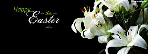 Download Easter Lily Wallpaper Happy Lilies By Juliepatterson