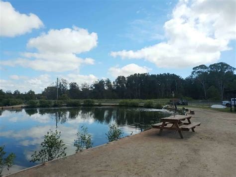 Bli Bli Barra Fishing Park Barramundi Park Sunshine Coast