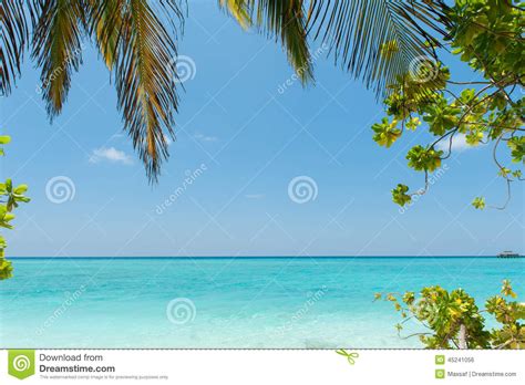 Tropical Beach With Palm Tree Leaf Idyllic Tropical Scenery Ma Stock