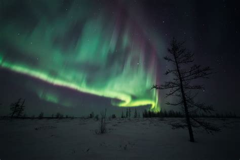 The Northern lights over the tundra on Behance