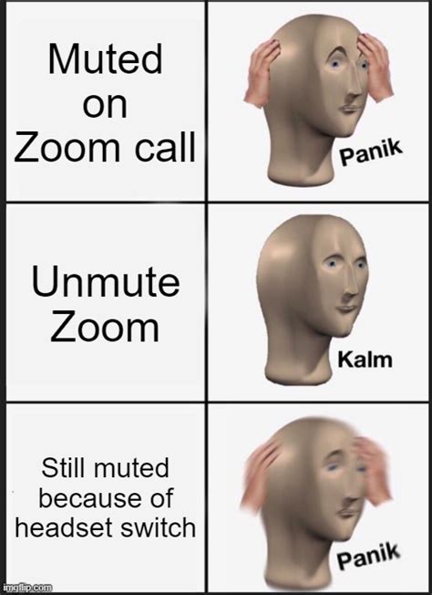 Zoom Calls Are Always Like This Imgflip