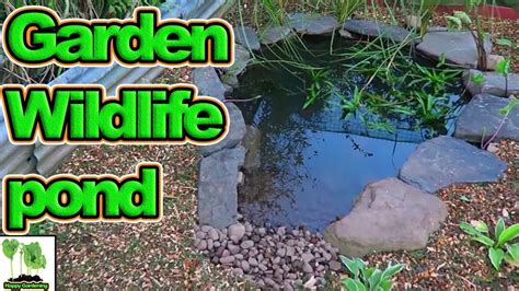 Step By Step How To Build A Wildlife Pond For Your Garden Or Allotment