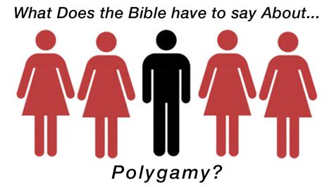 polygamy focal point ministries