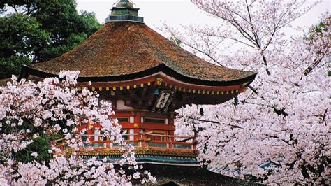 Kyoto Japan Map History Geography And Points Of Interest Britannica