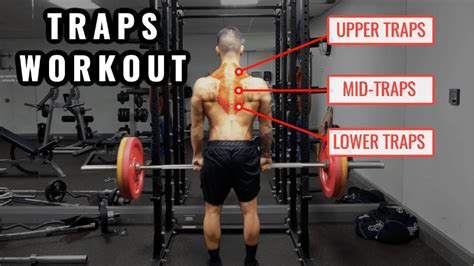 Based Trap Workout Guide