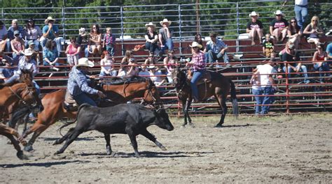 Rodeo Comes To Roy City Celebrates 58 Years Of Pioneer Rodeo