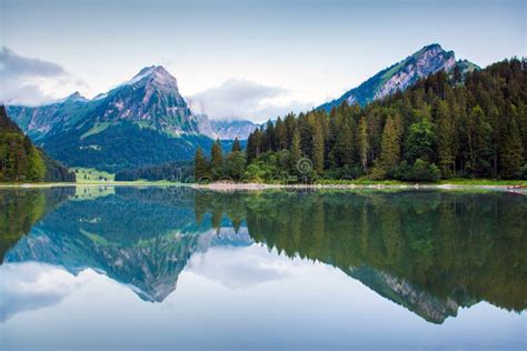 Misty Summer Landscape On The Obersee Lake C Stock Photo Image Of