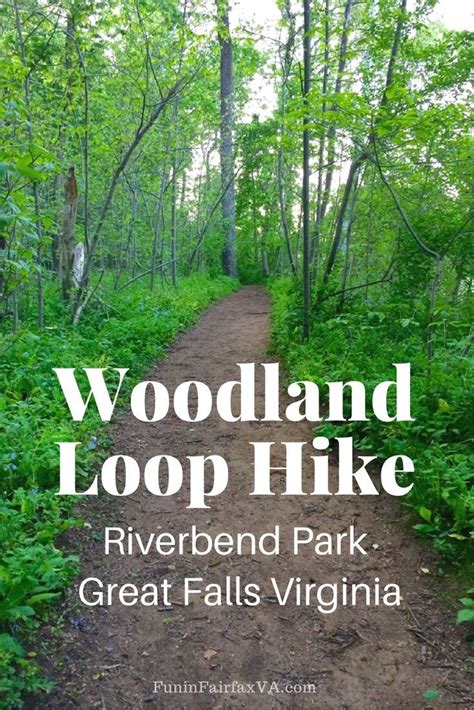 Woodland Loop Hike In Riverbend Park Virginia Fun In Fairfax Va