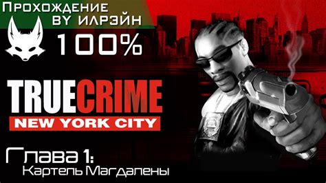 True Crime New York City Картель Магдалены YouTube