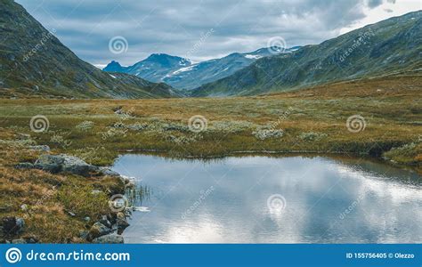 Summer Scenery In Jotunheimen National Park In Norway Stock Image