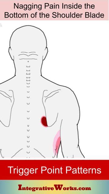 It functions to help digest dietary fat. Trigger Points - Nagging Pain Inside The Bottom of the ...