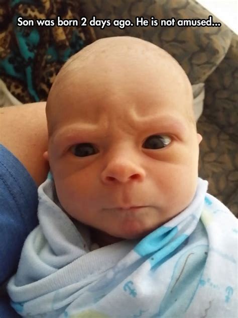 With tenor, maker of gif keyboard, add popular baby boy meme animated gifs to your conversations. Life Is Overrated