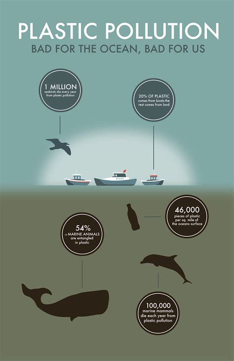 Plastic Pollution Infographic on Behance