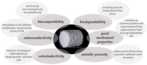 Coatings Free Full Text Osteoconductive And Osteoinductive Surface